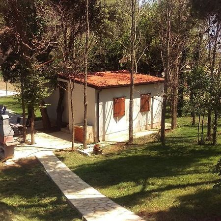 Ribarska Kuca Romana Premantura Bagian luar foto