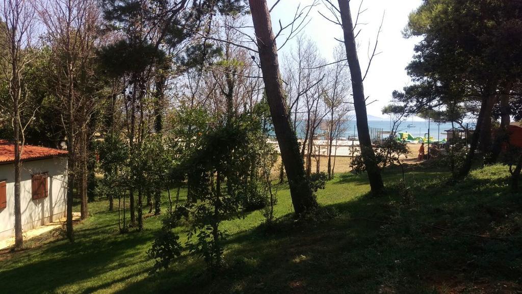 Ribarska Kuca Romana Premantura Bagian luar foto